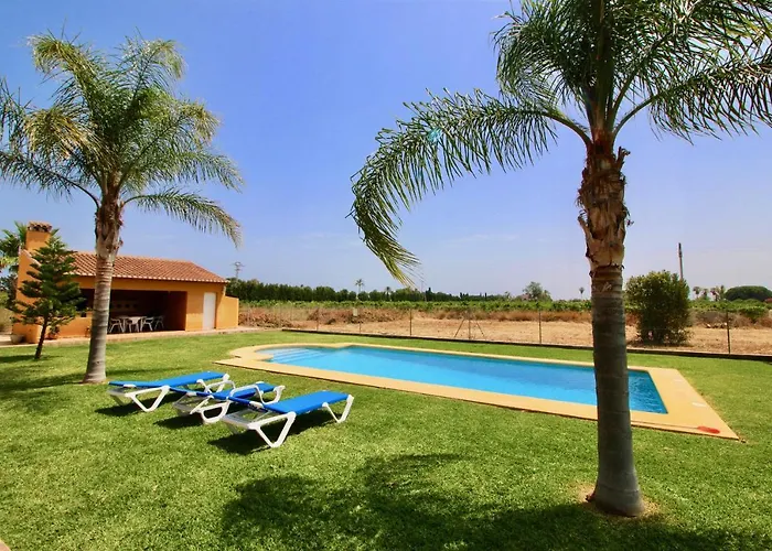 Ranas By Carlosferien *