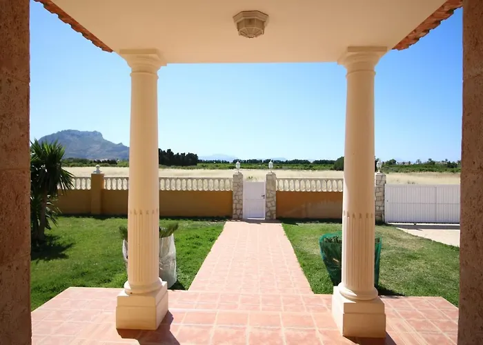 Ranas By Carlosferien Denia